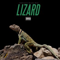 lizard 蜥蜴 的复数形式是什么